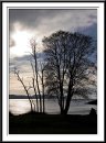 2  trees by river * 676 x 910 * (163KB)